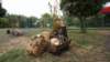 dsc05384_small.jpg