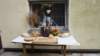 dsc05385_small.jpg