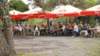 dsc05396_small.jpg