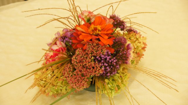 dsc05507.jpg