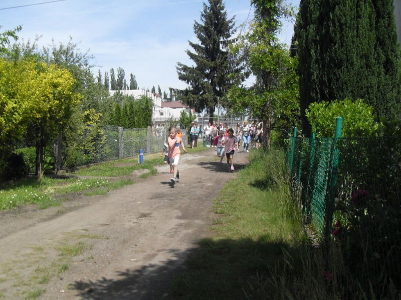 SDC10045