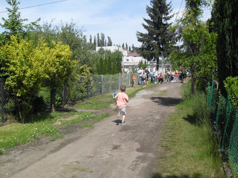 SDC10046