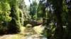dsc05050_small.jpg