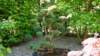 dsc05058_small.jpg
