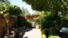 dsc05083_small.jpg