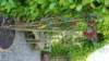 dsc05084_small.jpg