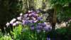 dsc05093_small.jpg