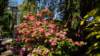 dsc05095_small.jpg