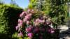 dsc05096_small.jpg