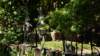 dsc05134_small.jpg