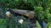 dsc05138_small.jpg