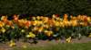 dsc05139_small.jpg