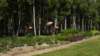 dsc05154_small.jpg