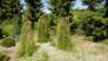 dsc05191_small.jpg