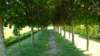 dsc05194_small.jpg